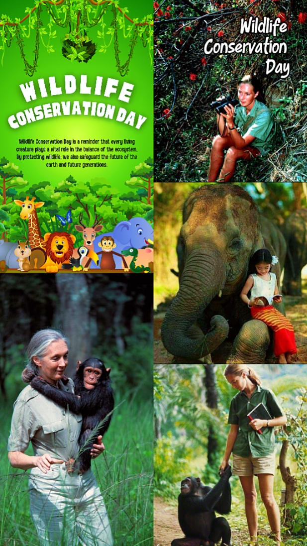 Wildlife Conservatio