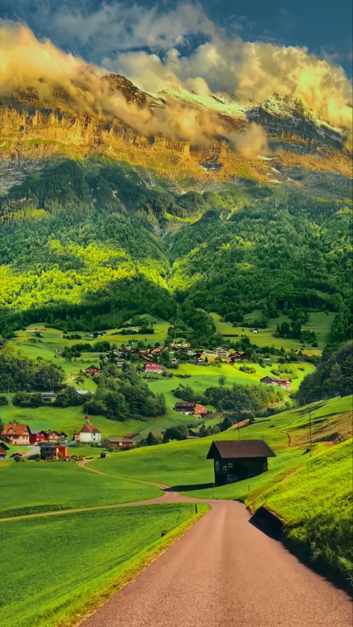 Cover Picture