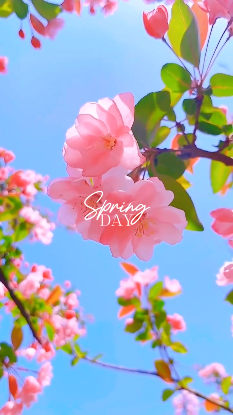 Spring Day