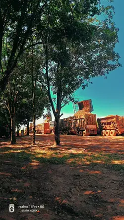 Liderança Ela Começa