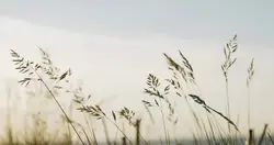 Enter