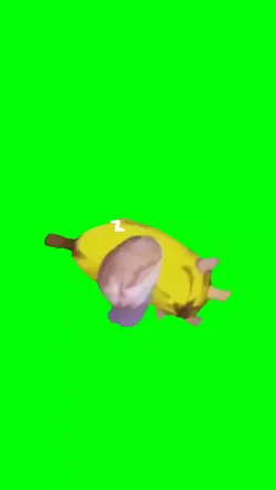 kucing pisang tidur 