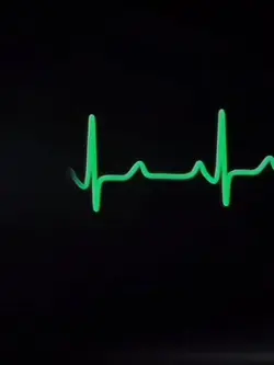 POV: they’re gone…