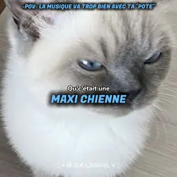 Maxi chienne~
