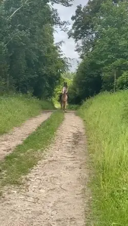 sport le + Critiquer