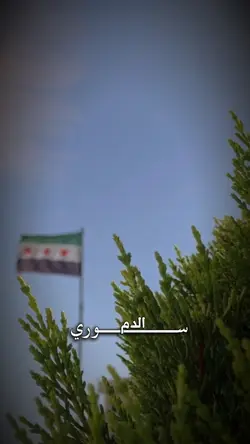 سوري الدم