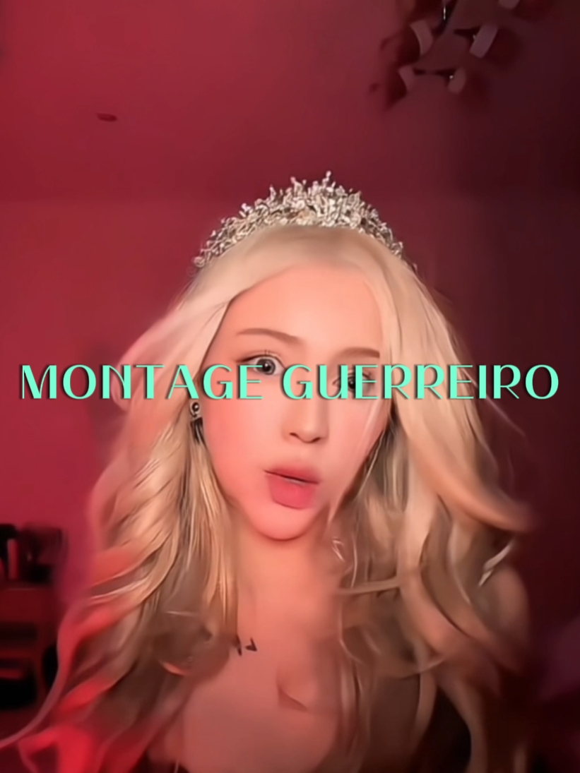 MONTAGE GUERREIRO