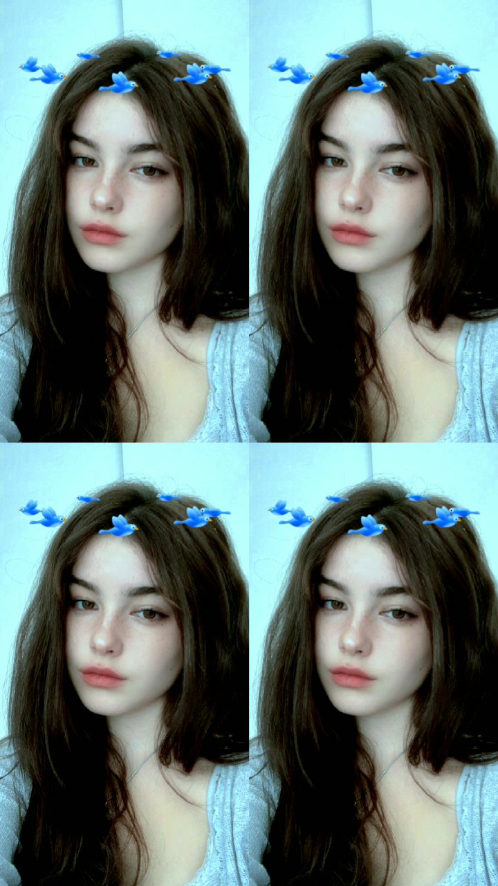 bird bisa di geser 