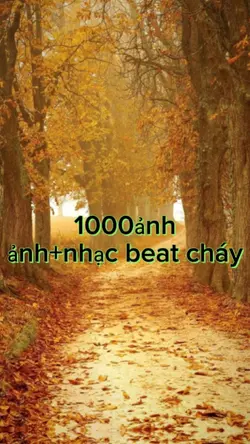 99 ảnh nhiều ảnh