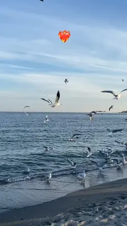 Koştum hekime