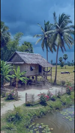 ฝนมาแล้ว
#1