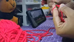 video vlog 