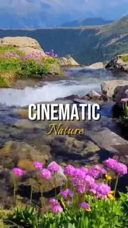 Template Cinematic