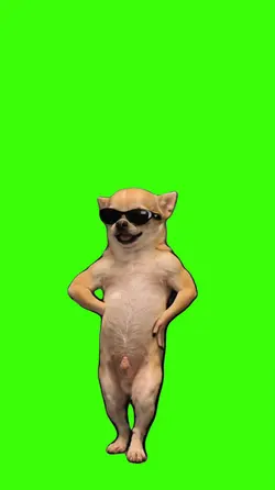 Dog/Cachorro.