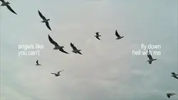 Angels Like You