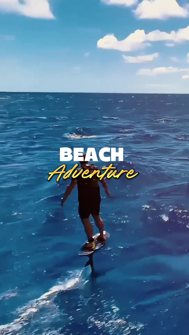 Aventure sur la plage 