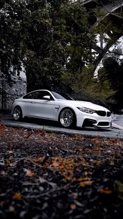 Car Edit
