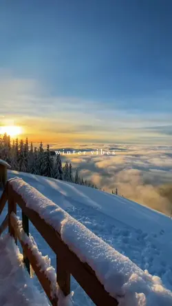 winter vibes