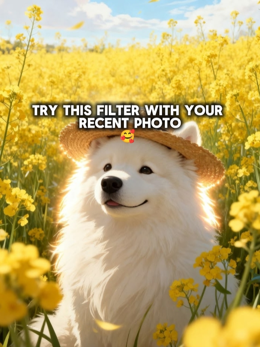 Experimente este filtro 