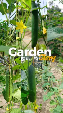 Garden Story 