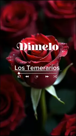 Dimelo 