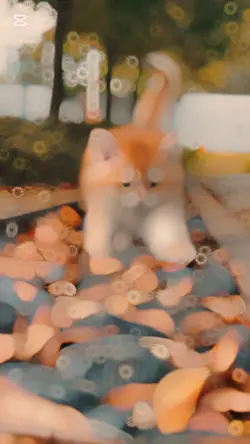 super Slomo template