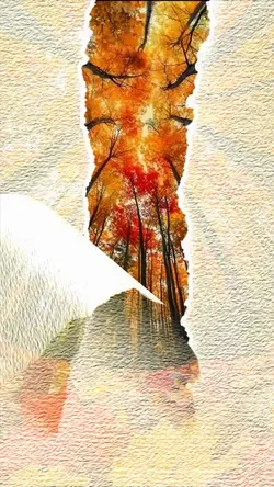 Paper tearing openin