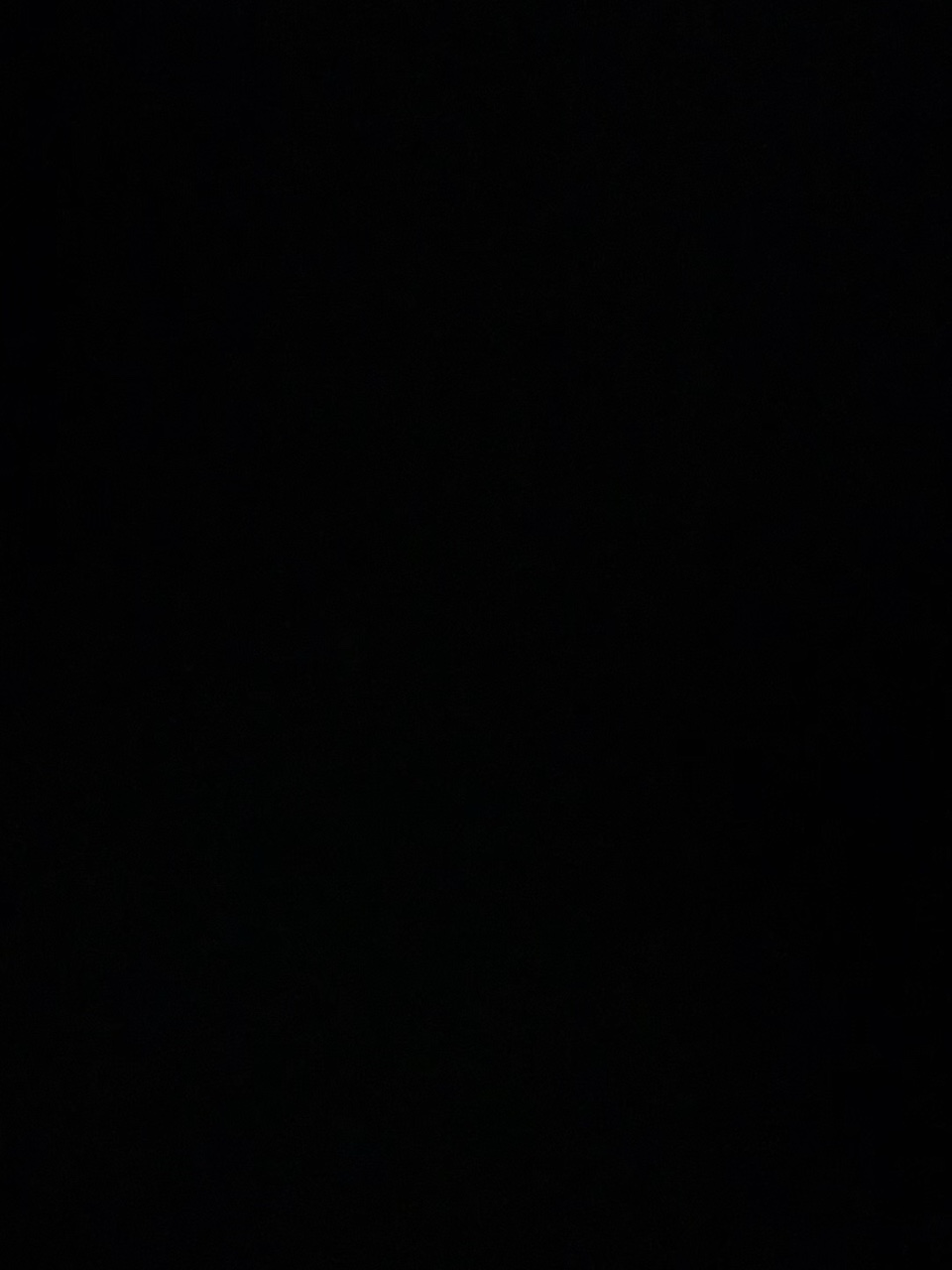 I don’t Speak…