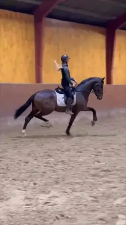 Equestrian