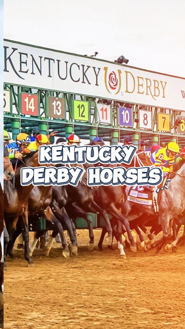 Kentucky Derby Horse