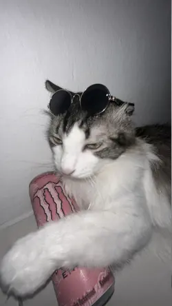 malam ini ku sendiri