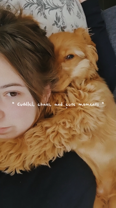 Pet moments