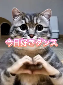 今日好きダンス 写真1枚📷