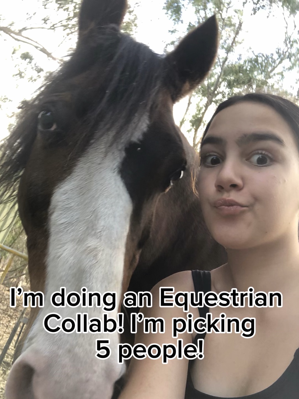 I’m doing a collab!