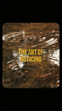 The art of noticing 
