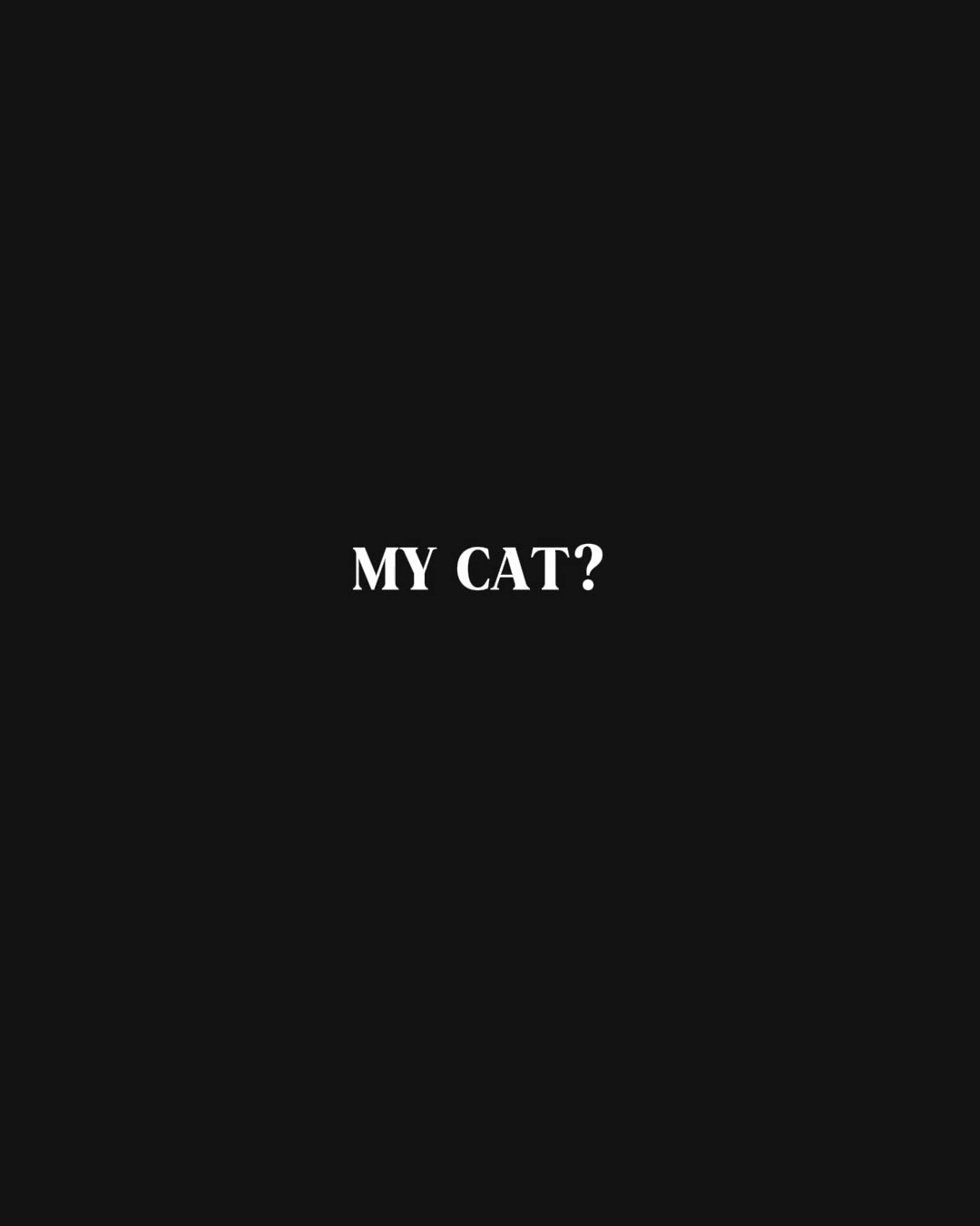 Mi gato