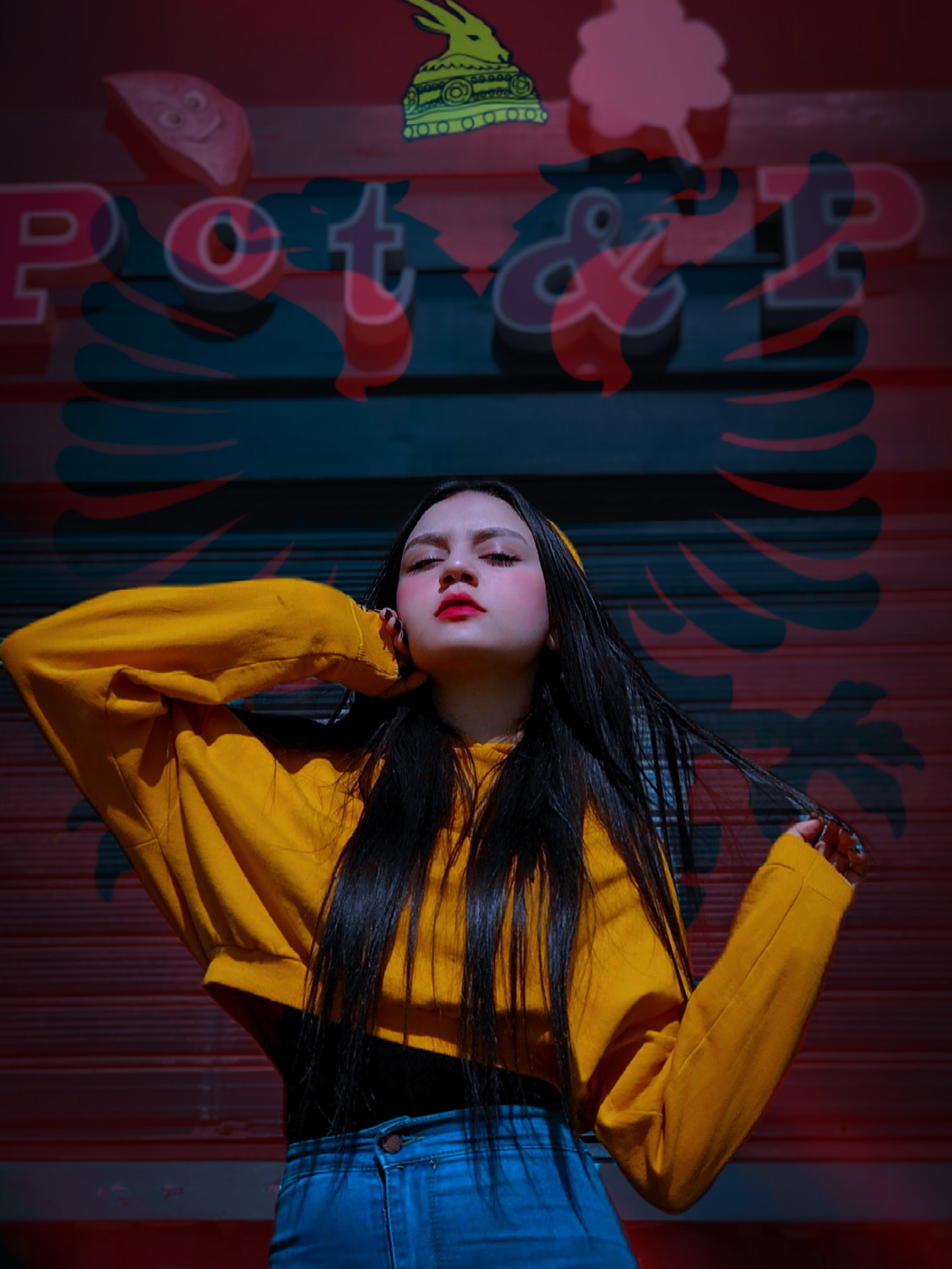 Cover Picture