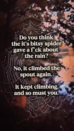Itsy Bitsy Spider