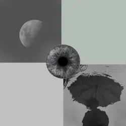 brown and grey