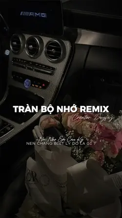 TRÀN BỘ NHỚ REMIX📍