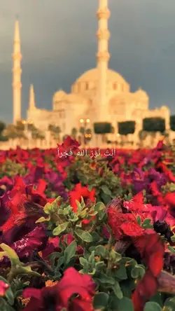 Ya Nabi Salam Alaika