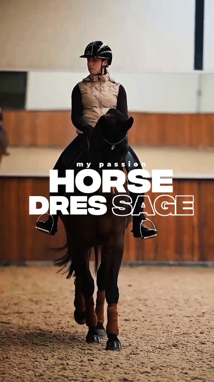 horse dres sage