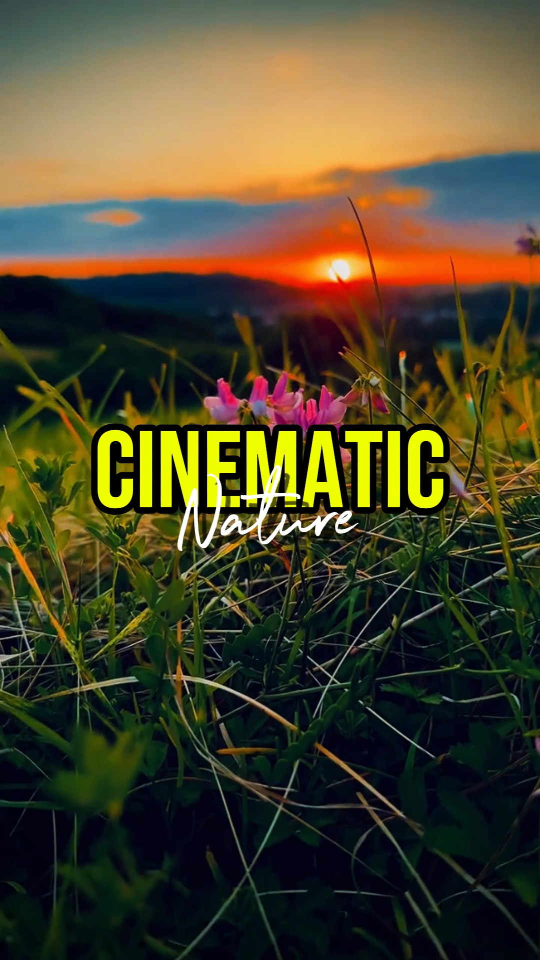 CINEMATIC NATURE