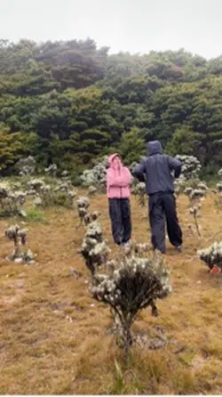gunung gede 