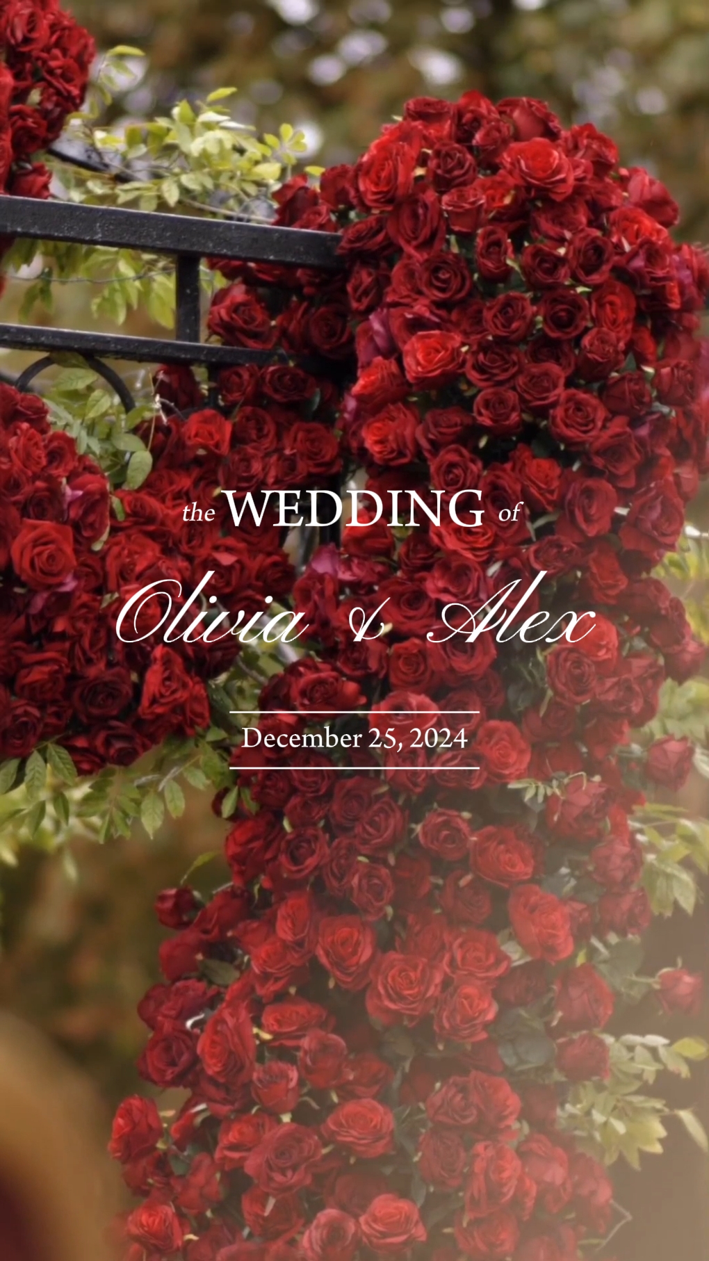 Wedding Day
