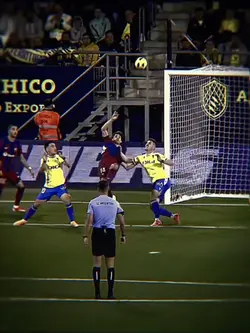 Felix Bicycle Edit 🎉