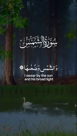 Surah Al Shams
