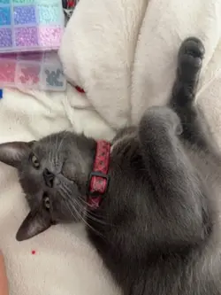 back to school stats