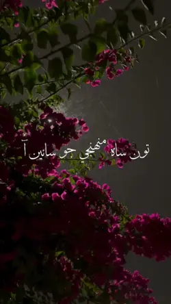 sindhi Song Template