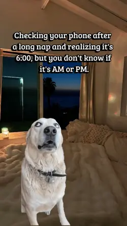wake up in long nap